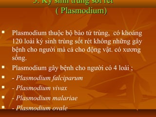 3. Ký sinh trùng sốt rét
                 ( Plasmodium)

   Plasmodium thuộc bộ bào tử trùng, có khoảng
    120 loài ký sinh trùng sốt rét không những gây
    bệnh cho người mà cả cho động vật. có xương
    sống.
   Plasmodium gây bệnh cho người có 4 loài ;
   - Plasmodium falciparum
   - Plasmodium vivax
   - Plasmodium malariae
   - Plasmodium ovale
 