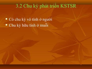 3.2 Chu kỳ phát triển KSTSR

   Có chu kỳ vô tính ở người
   Chu kỳ hữu tính ở muỗi
 