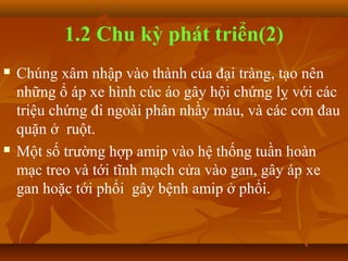 1.2 Chu kỳ phát triển(2)
   Chúng xâm nhập vào thành của đại tràng, tạo nên
    những ổ áp xe hình cúc áo gây hội chứng lỵ với các
    triệu chứng đi ngoài phân nhầy máu, và các cơn đau
    quặn ở ruột.
   Một số trường hợp amip vào hệ thống tuần hoàn
    mạc treo và tới tĩnh mạch cửa vào gan, gây áp xe
    gan hoặc tới phổi gây bệnh amip ở phổi.
 
