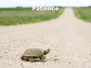 UtilityRelevancy Ecosystem$InteractionAdvocateOnlineCustomer DataN$$RelevanceEngagementOffline$$$$$