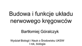 Budowa i funkcje układu
nerwowego kręgowców
Bartłomiej Góralczyk
Wydział Biologii i Nauk o Środowisku UKSW
I rok, biologia
 