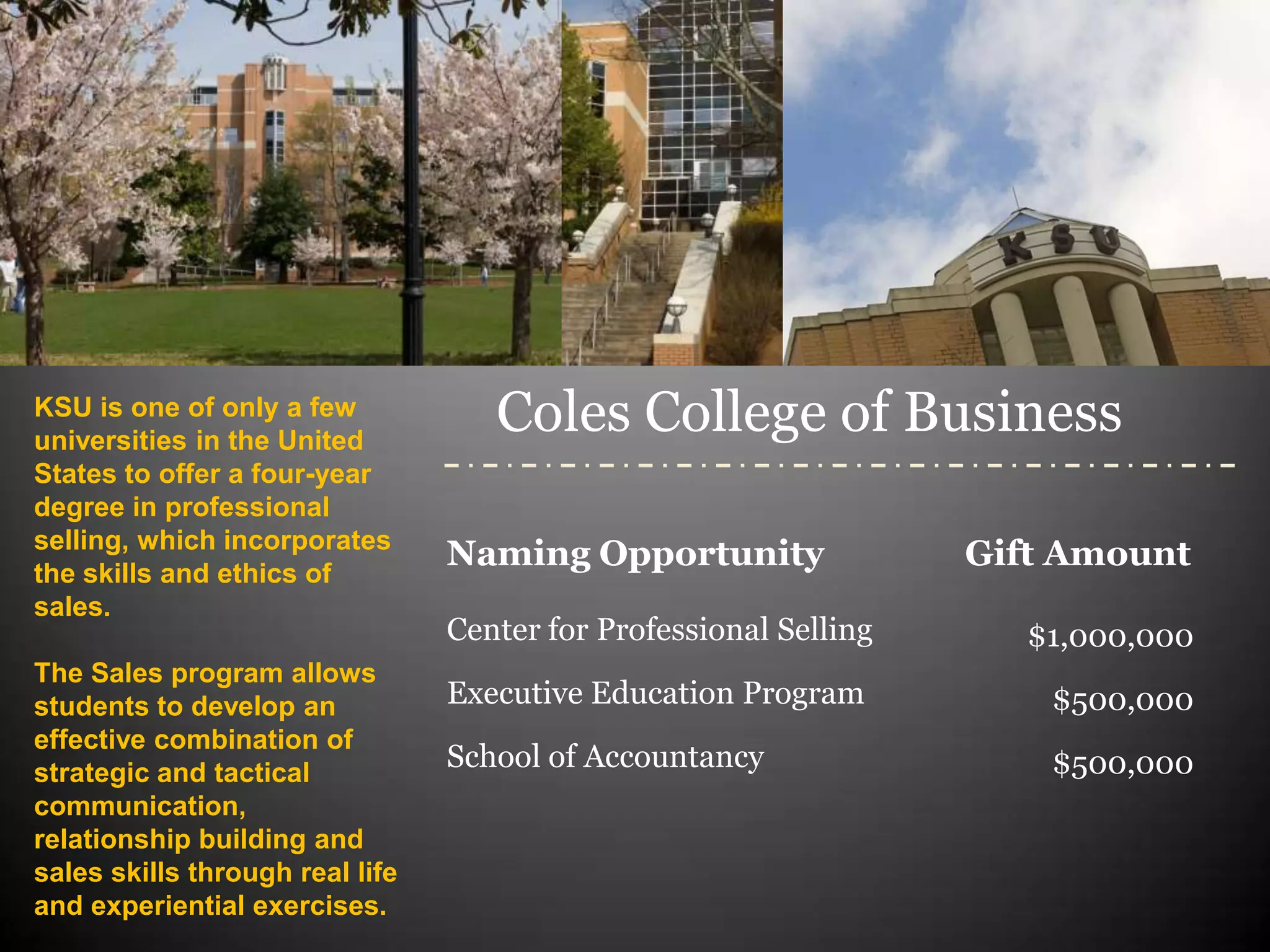Ksu naming opportunities revised PPT