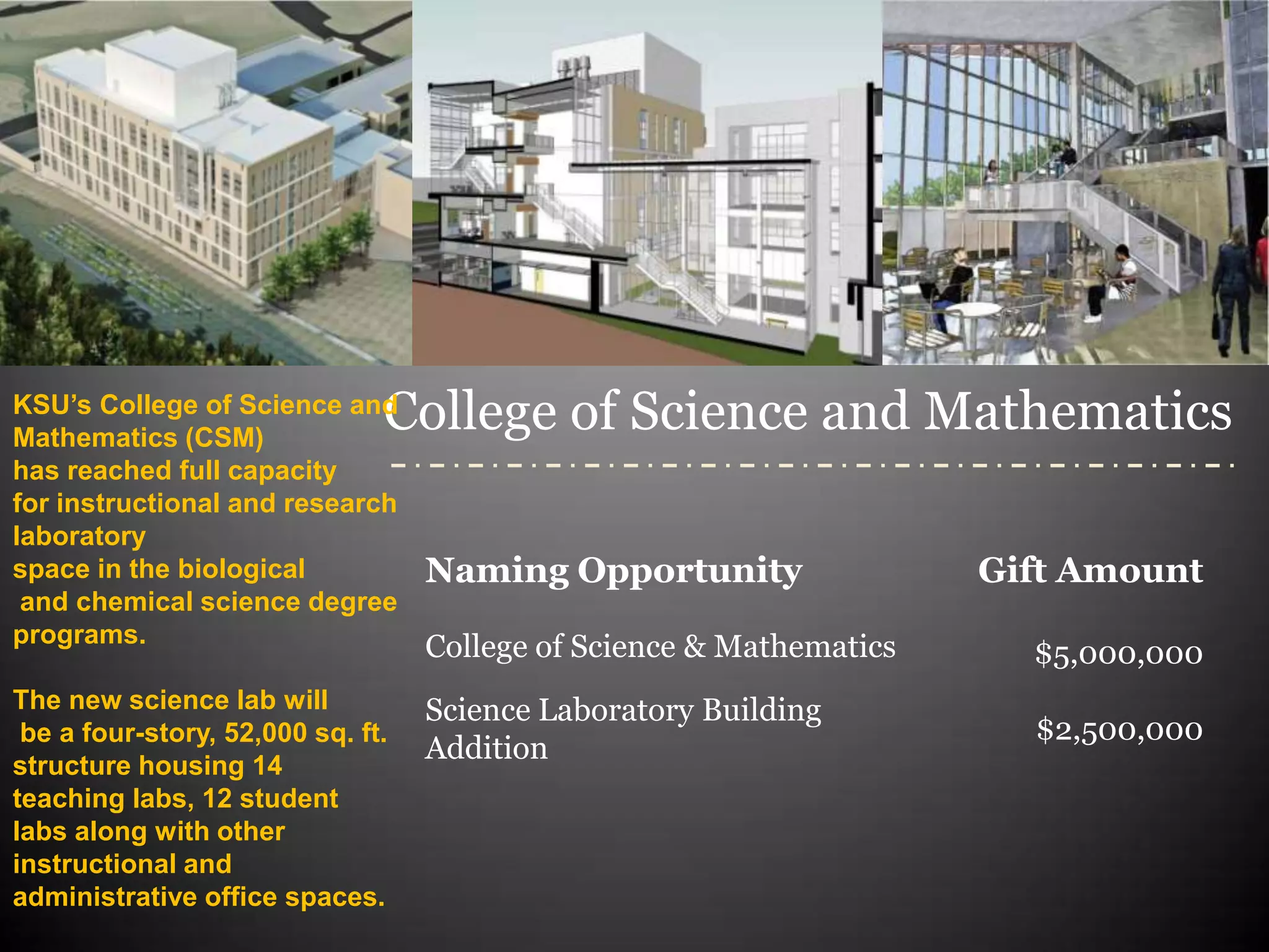 Ksu naming opportunities revised PPT