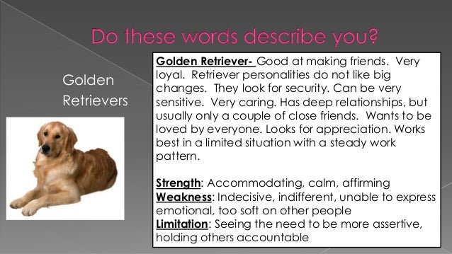 personality test lion beaver otter retriever