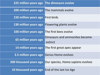 225 million years ago The dinosaurs evolve
200 million years ago The mammals evolve
150 million years ago First birds
130 million years ago Flowering plants evolve
100 million years ago The first bees evolve
65 million years ago
Dinosaurs and ammonites become
extinct
14 million years ago The first great apes appear
2.5 million years ago Genus Homo evolves
200 thousand years ago Our species, Homo sapiens evolves
10 thousand years ago End of the last Ice Age
 