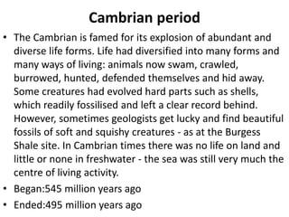 Cambrian period
• The Cambrian is famed for its explosion of abundant and
diverse life forms. Life had diversified into many forms and
many ways of living: animals now swam, crawled,
burrowed, hunted, defended themselves and hid away.
Some creatures had evolved hard parts such as shells,
which readily fossilised and left a clear record behind.
However, sometimes geologists get lucky and find beautiful
fossils of soft and squishy creatures - as at the Burgess
Shale site. In Cambrian times there was no life on land and
little or none in freshwater - the sea was still very much the
centre of living activity.
• Began:545 million years ago
• Ended:495 million years ago
 