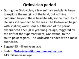Ordovician period
• During the Ordovician, a few animals and plants began
to explore the margins of the land, but nothing
colonised beyond these beachheads, so the majority of
life was still confined to the seas. The Ordovician began
with shallow, warm seas but the end of the period
experienced a 500,000 year long ice age, triggered by
the drift of the supercontinent, Gondwana, to the
south polar regions. The Ordovician ended with a mass
extinction.
• Began:495 million years ago
• Ended: Ordovician-Silurian mass extinction
443 million years ago
 