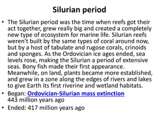 Silurian period
• The Silurian period was the time when reefs got their
act together, grew really big and created a completely
new type of ecosystem for marine life. Silurian reefs
weren't built by the same types of coral around now,
but by a host of tabulate and rugose corals, crinoids
and sponges. As the Ordovician ice ages ended, sea
levels rose, making the Silurian a period of extensive
seas. Bony fish made their first appearance.
Meanwhile, on land, plants became more established,
and grew in a zone along the edges of rivers and lakes
to give Earth its first riverine and wetland habitats.
• Began: Ordovician-Silurian mass extinction
443 million years ago
• Ended: 417 million years ago
 
