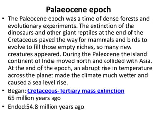 Palaeocene epoch
• The Paleocene epoch was a time of dense forests and
evolutionary experiments. The extinction of the
dinosaurs and other giant reptiles at the end of the
Cretaceous paved the way for mammals and birds to
evolve to fill those empty niches, so many new
creatures appeared. During the Paleocene the island
continent of India moved north and collided with Asia.
At the end of the epoch, an abrupt rise in temperature
across the planet made the climate much wetter and
caused a sea level rise.
• Began: Cretaceous-Tertiary mass extinction
65 million years ago
• Ended:54.8 million years ago
 