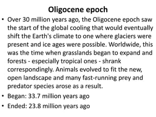 Oligocene epoch
• Over 30 million years ago, the Oligocene epoch saw
the start of the global cooling that would eventually
shift the Earth's climate to one where glaciers were
present and ice ages were possible. Worldwide, this
was the time when grasslands began to expand and
forests - especially tropical ones - shrank
correspondingly. Animals evolved to fit the new,
open landscape and many fast-running prey and
predator species arose as a result.
• Began: 33.7 million years ago
• Ended: 23.8 million years ago
 