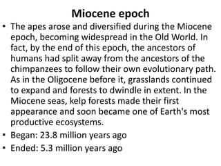 Miocene epoch
• The apes arose and diversified during the Miocene
epoch, becoming widespread in the Old World. In
fact, by the end of this epoch, the ancestors of
humans had split away from the ancestors of the
chimpanzees to follow their own evolutionary path.
As in the Oligocene before it, grasslands continued
to expand and forests to dwindle in extent. In the
Miocene seas, kelp forests made their first
appearance and soon became one of Earth's most
productive ecosystems.
• Began: 23.8 million years ago
• Ended: 5.3 million years ago
 
