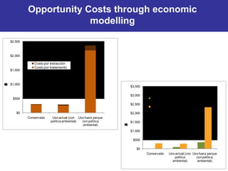 Decision and Policy Analysis Program
