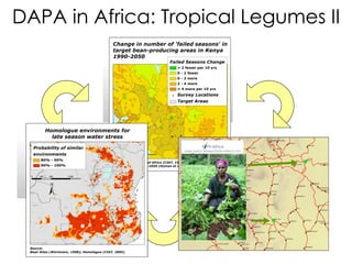 Decision and Policy Analysis Program