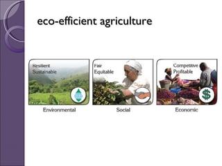 Concepts, impacts & benefits of eco-efficiency