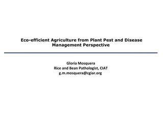Eco-efficient Agriculture from Plant Pest and Disease Management Perspective  Gloria Mosquera Rice and Bean Pathologist, CIAT g.m.mosquera@cgiar.org  