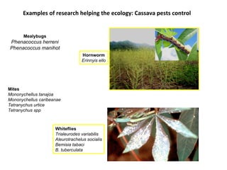Eco-efficient Agriculture from Plant Pest and Disease Management Perspective