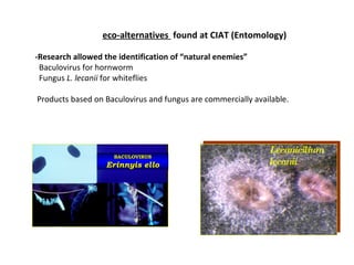 Eco-efficient Agriculture from Plant Pest and Disease Management Perspective