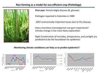 Eco-efficient Agriculture from Plant Pest and Disease Management Perspective