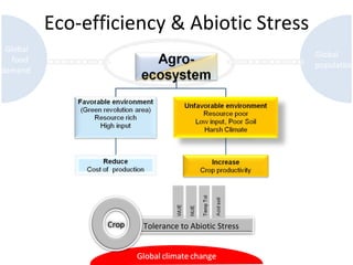Eco-efficiency & Abiotic Stress Global  food  demand Global  population Tolerance to Abiotic Stress Crop 