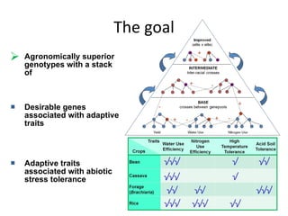 Eco-efficiency & Abiotic Stress