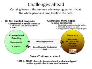 Eco-efficiency & Abiotic Stress