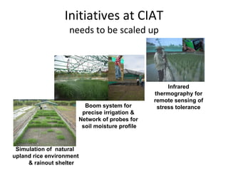 Eco-efficiency & Abiotic Stress