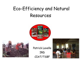 Eco-Efficiency and Natural Resources   Patrick Lavelle IRD CIAT/TSBF 
