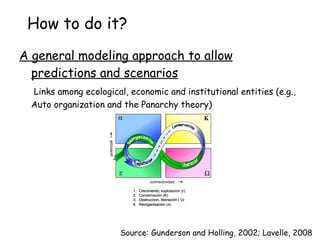 Eco-Efficiency and Natural Resources