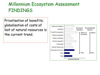 Eco-Efficiency and Natural Resources