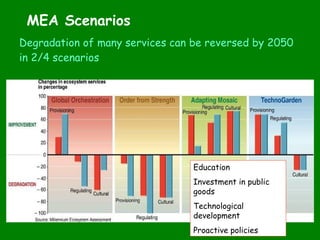 Eco-Efficiency and Natural Resources