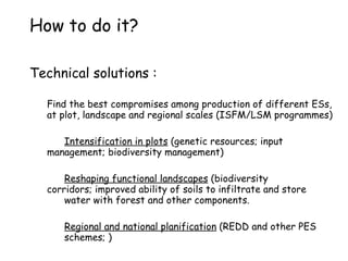 Eco-Efficiency and Natural Resources