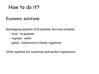 Eco-Efficiency and Natural Resources