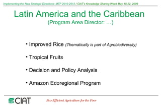 Implementing the New Strategic Directions: Medium Term Plan 2010-2012