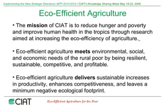 Implementing the New Strategic Directions: Medium Term Plan 2010-2012