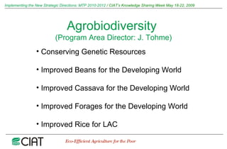 Implementing the New Strategic Directions: Medium Term Plan 2010-2012