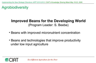 Implementing the New Strategic Directions: Medium Term Plan 2010-2012