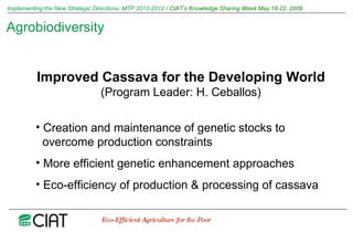 Implementing the New Strategic Directions: Medium Term Plan 2010-2012