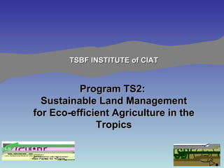 TSBF INSTITUTE of CIAT Program TS2:  Sustainable Land Management for Eco-efficient Agriculture in the Tropics 