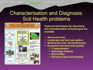 TSBF Institute of CIAT: Sustainable Land Management for Eco-efficient Agriculture in the Tropics