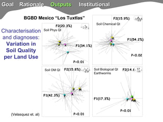 TSBF Institute of CIAT: Sustainable Land Management for Eco-efficient Agriculture in the Tropics