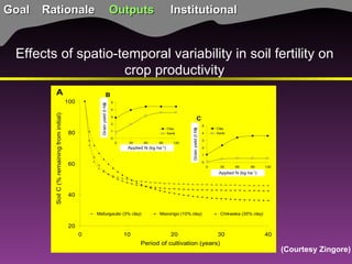 TSBF Institute of CIAT: Sustainable Land Management for Eco-efficient Agriculture in the Tropics
