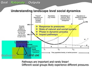 TSBF Institute of CIAT: Sustainable Land Management for Eco-efficient Agriculture in the Tropics