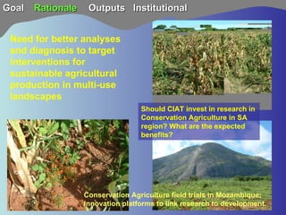 TSBF Institute of CIAT: Sustainable Land Management for Eco-efficient Agriculture in the Tropics