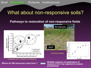 TSBF Institute of CIAT: Sustainable Land Management for Eco-efficient Agriculture in the Tropics