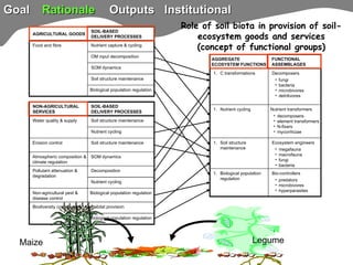 TSBF Institute of CIAT: Sustainable Land Management for Eco-efficient Agriculture in the Tropics