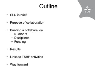 The SLU and CIAT-TSBF collaboration