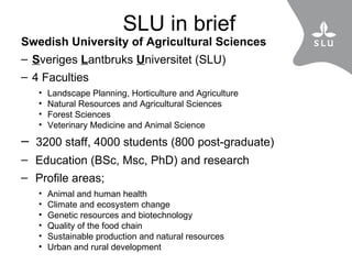 The SLU and CIAT-TSBF collaboration