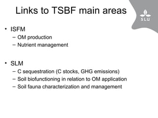 The SLU and CIAT-TSBF collaboration