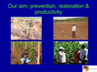 A Digitally Integrated Africa Soil Information Service (AfSIS)