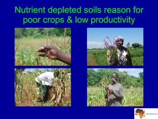 A Digitally Integrated Africa Soil Information Service (AfSIS)